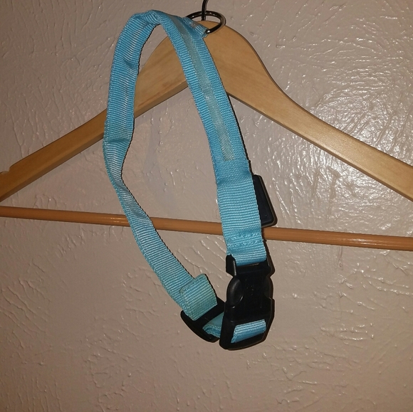 🆕 Light Up Collar XL - Picture 2 of 4
